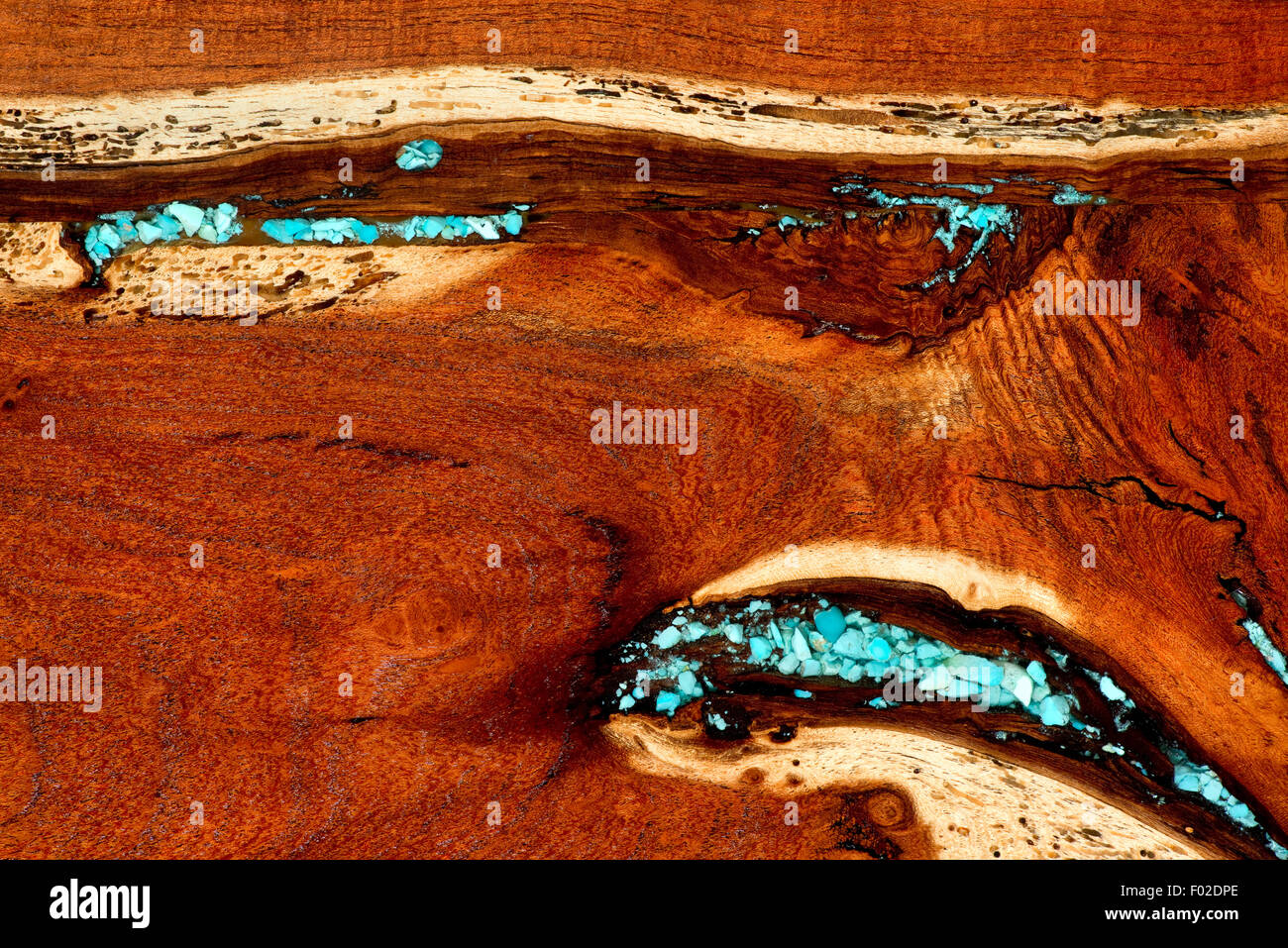 Burled redwood and inset blue turquoise background. Stock Photo
