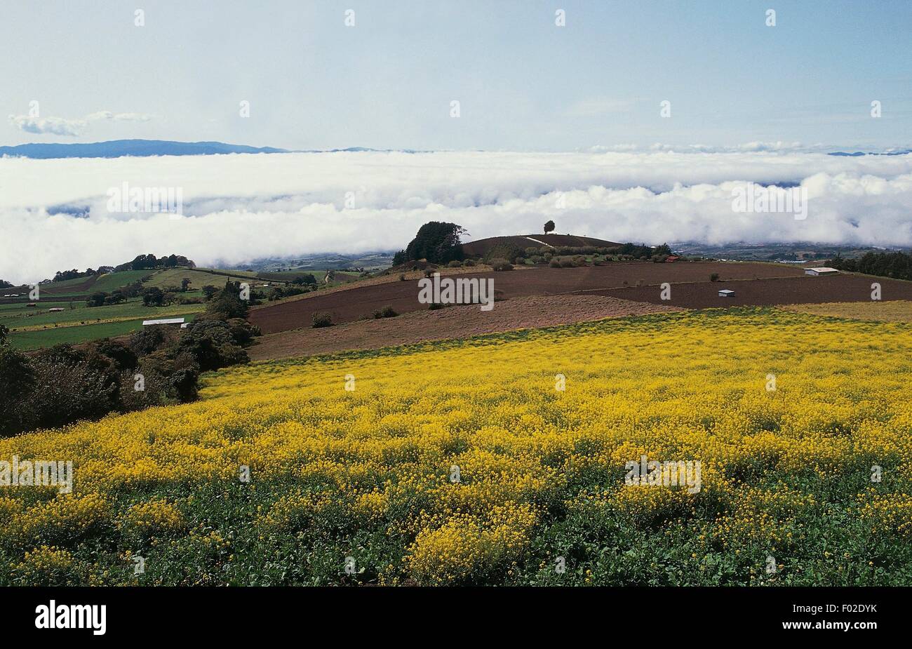 Costa rica orosi volcano hires stock photography and images Alamy