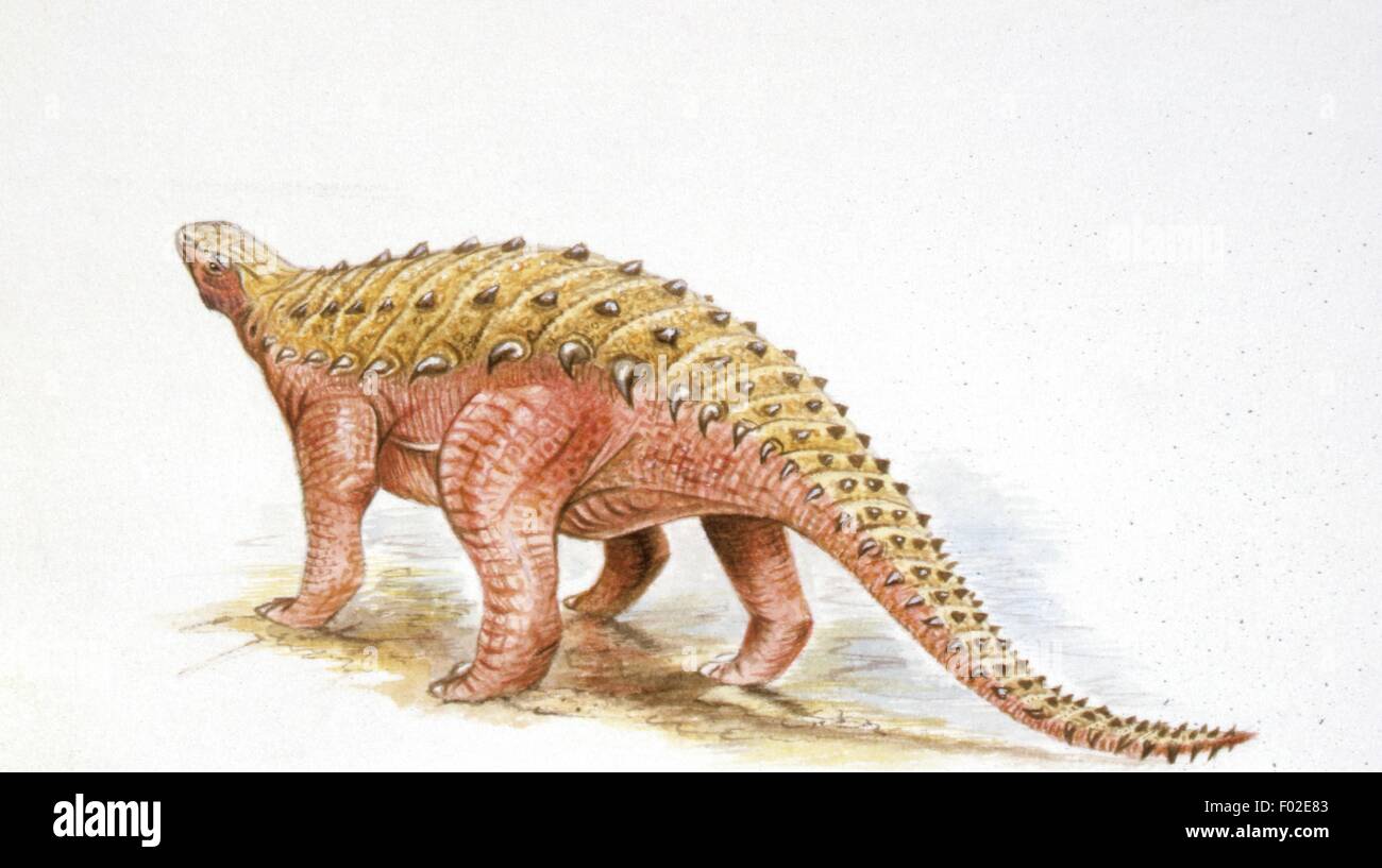Struthiosaurus hi-res stock photography and images - Alamy