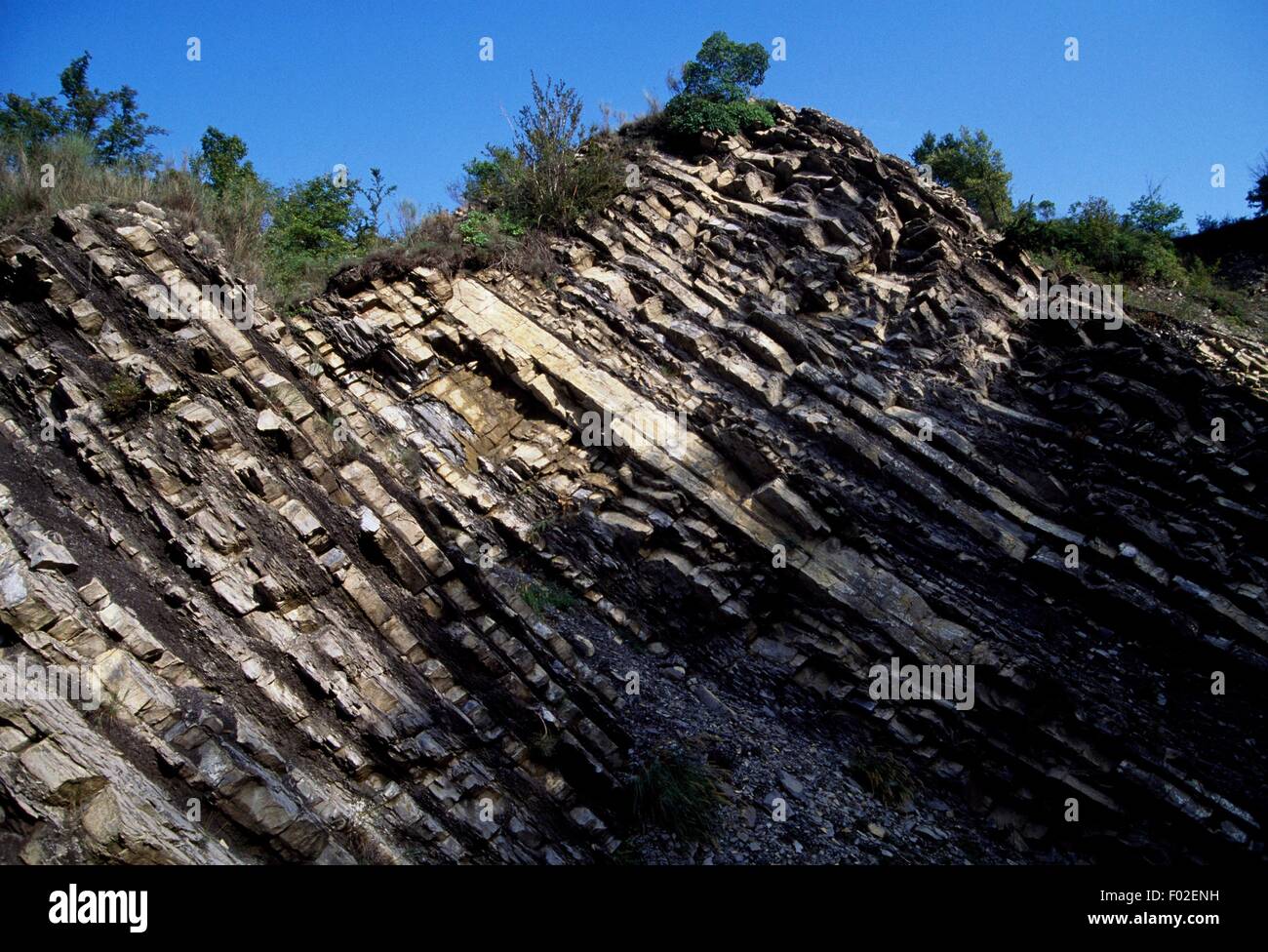 Limestone pelites, Gorges du Cians, Provence-Alpes-Cote d'Azur, France. Stock Photo