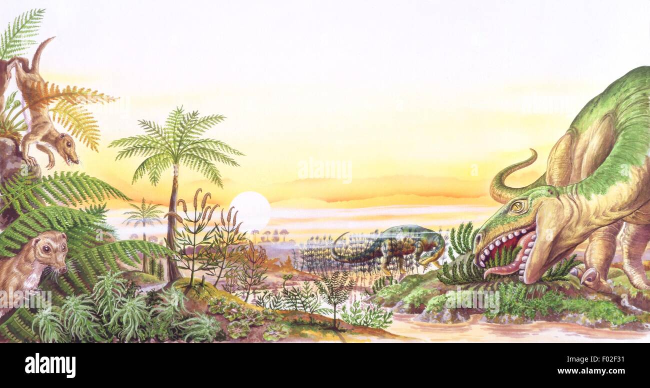 Palaeozoology - Jurassic period - Dinosaurs - Anchisaurus - Art work Stock Photo