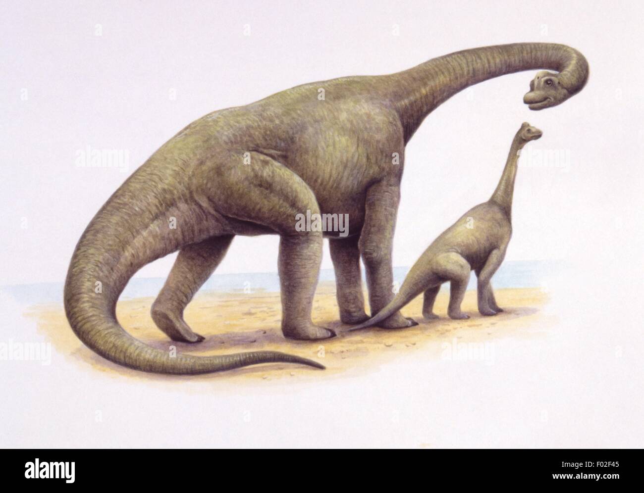 Ultrasaurus Size Comparison