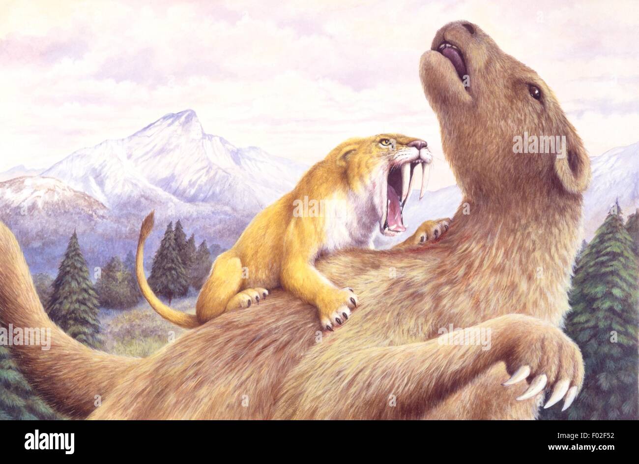 A carnivorous Sabre-Tooth Tiger attacking a young Deinotherium