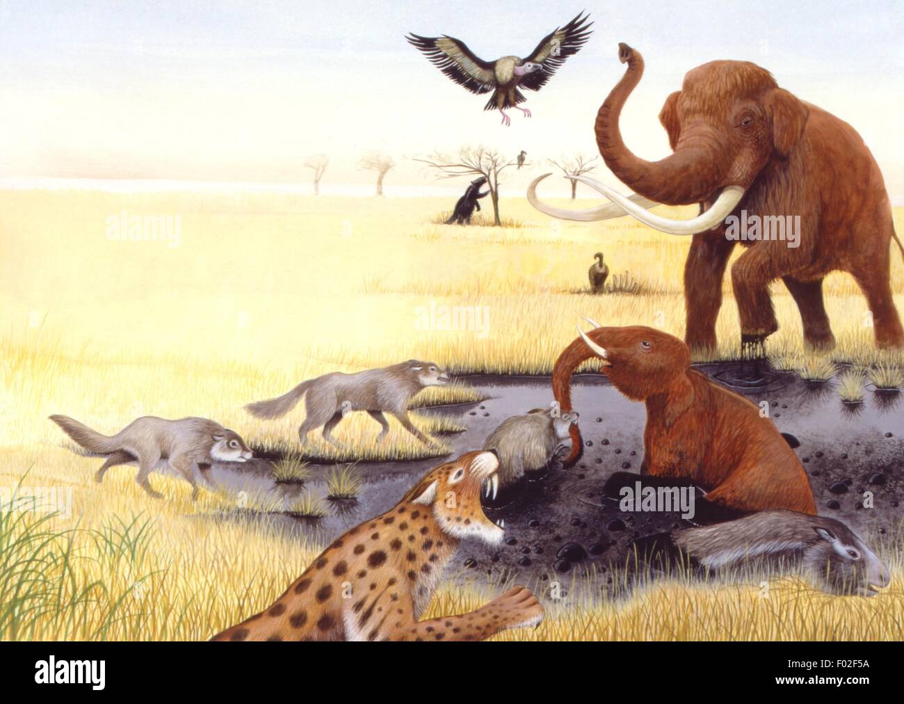 Palaeozoology - Prehistoric animals - Prehistoric animals drinking at water hole - Art work by Jim Higgins Stock Photo