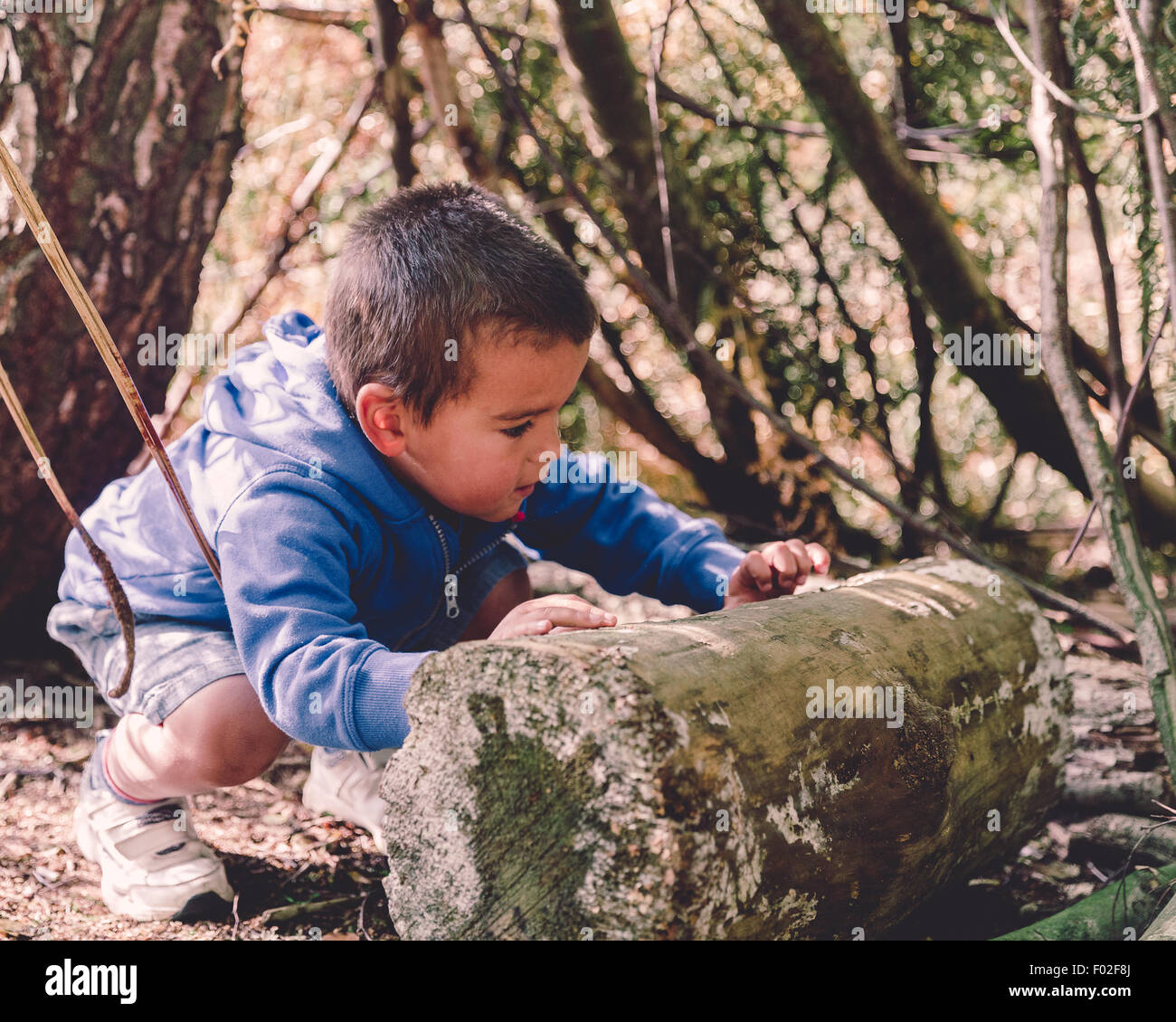 Boy trying to roll a large wooden log Stock Photo