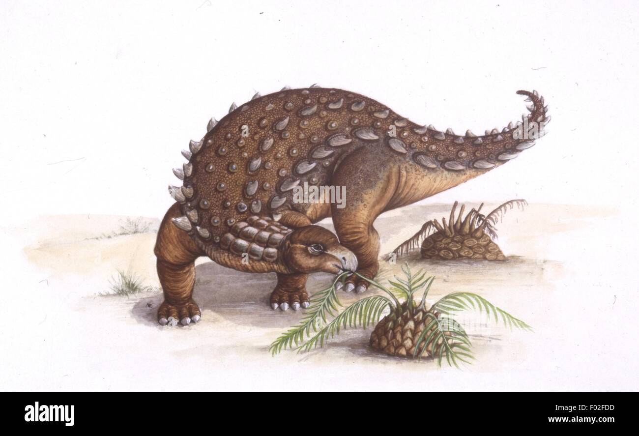 Palaeozoology - Jurassic period - Dinosaurs - Dracopelta - Art work by Edwina Goldstone Stock Photo