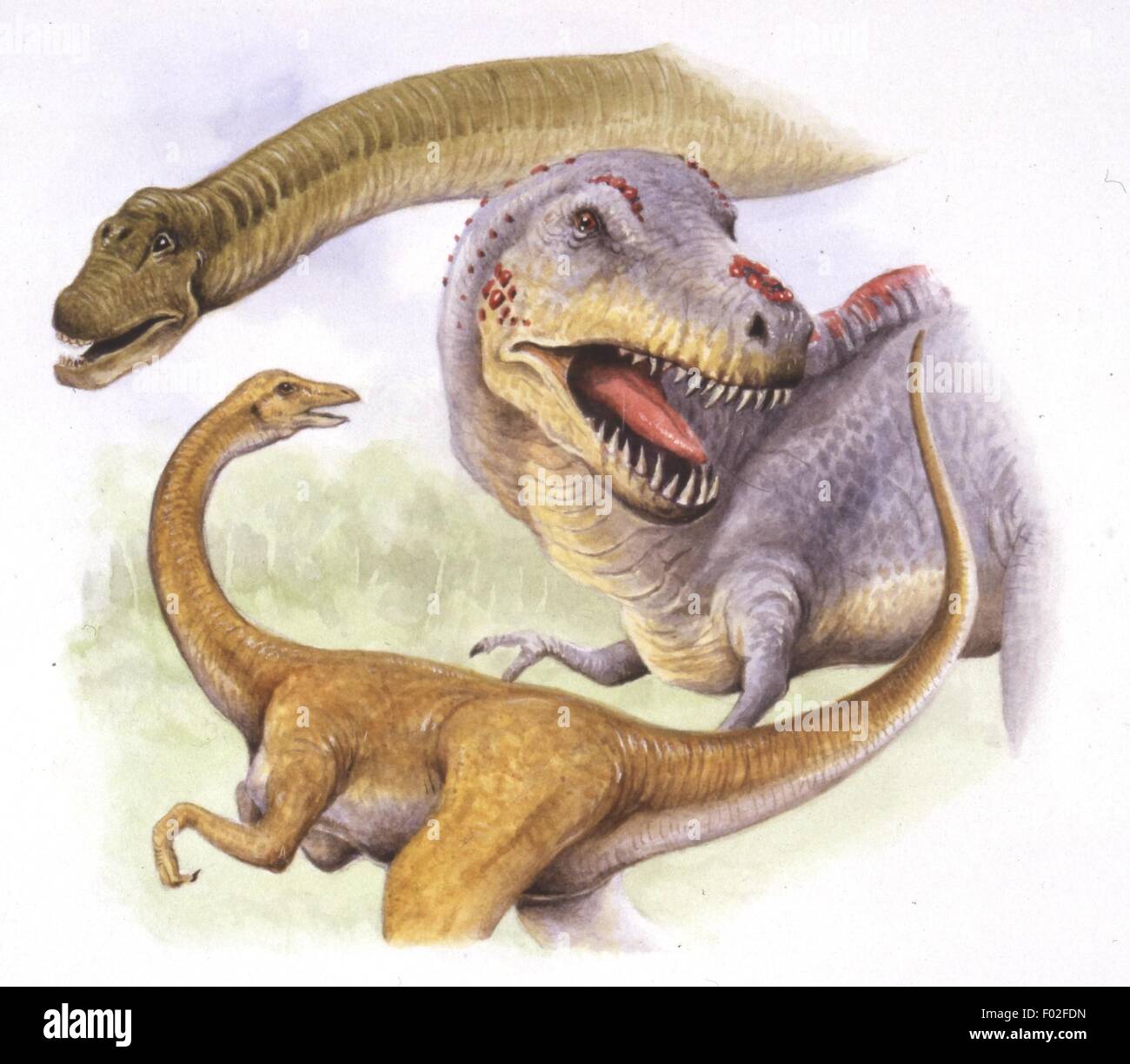 Palaeozoology - Cretaceous period - Dinosaurs - Hypselosaurus, Magyarosaurus - Art work by Peter David Scott Stock Photo