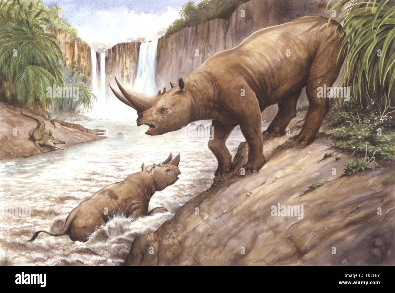 Oligocene period hi-res stock photography and images - Alamy Oligocene period hi-res stock photography and images - Alamy