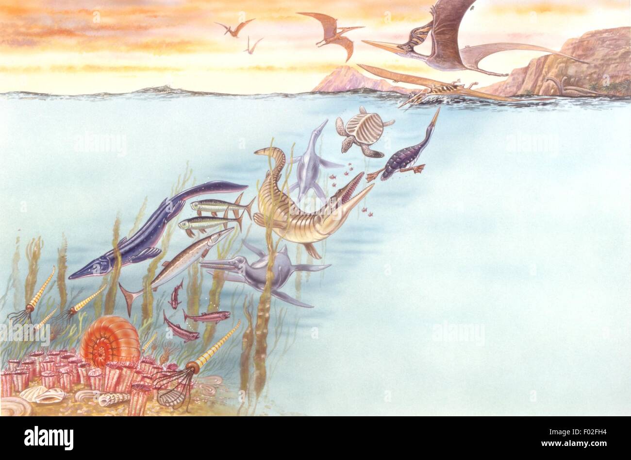Palaeozoology - Prehistoric aquatic animals - Art work by Robin Carter Stock Photo