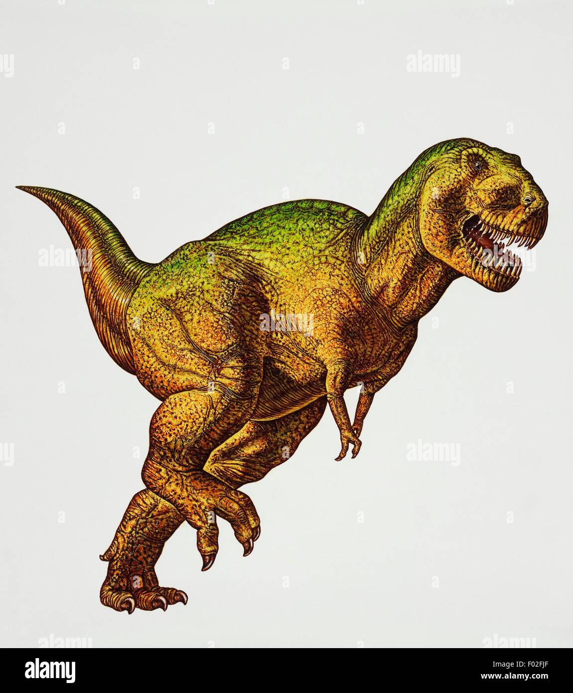 T-Rex dinosaur running. 3D illustration. - Stock Illustration