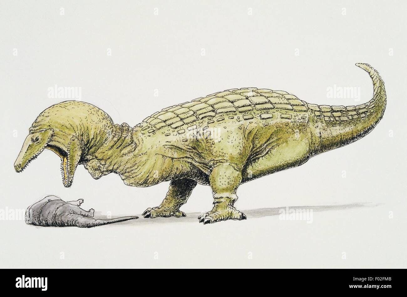 Ganeosaurus tardus with prey. Artwork by Dougal Dixon. Stock Photo