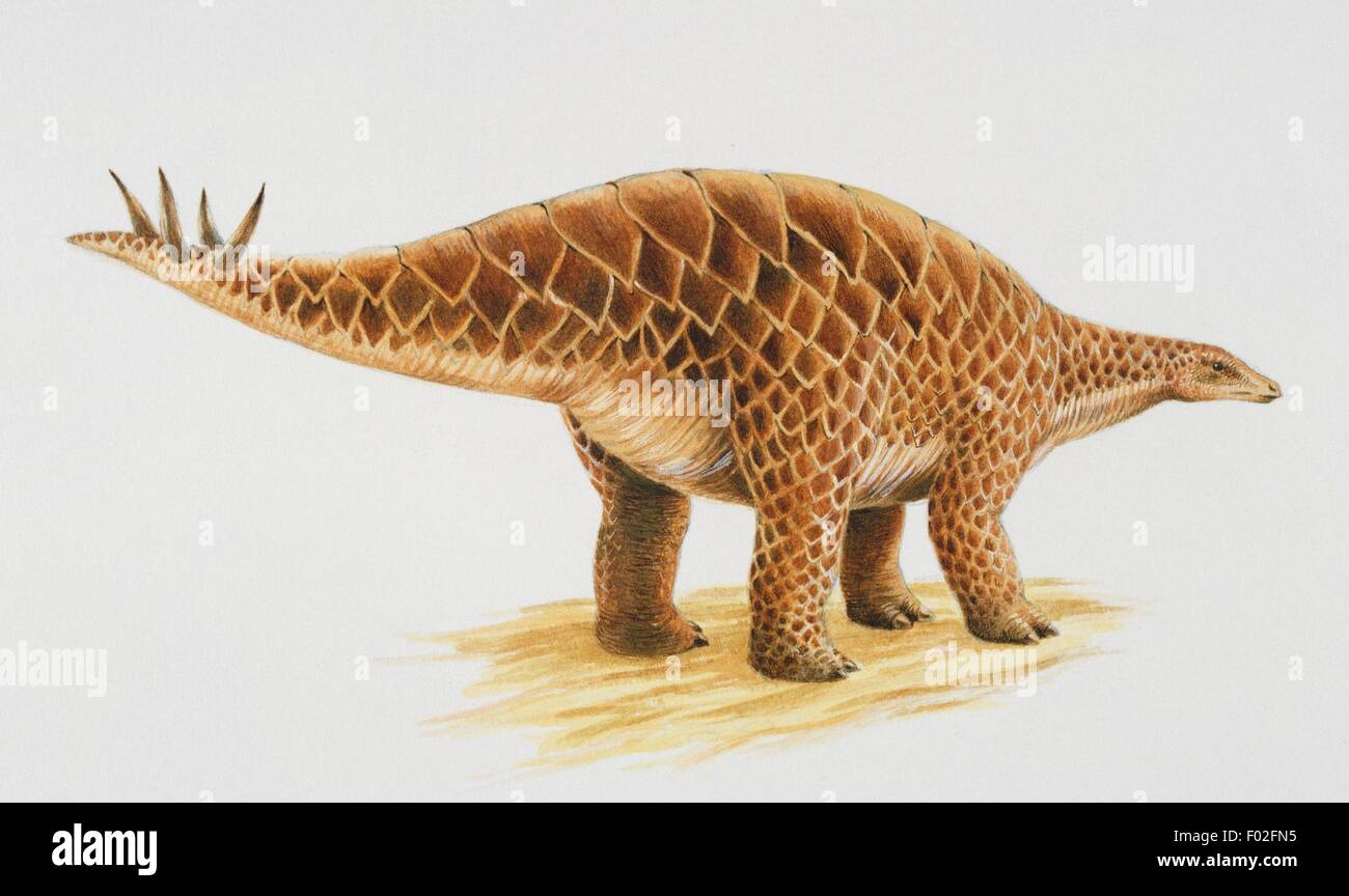 Some scientist belived that the plates of the Stegosaurus sp lay flat. Artwork by Nick Pike. Stock Photo