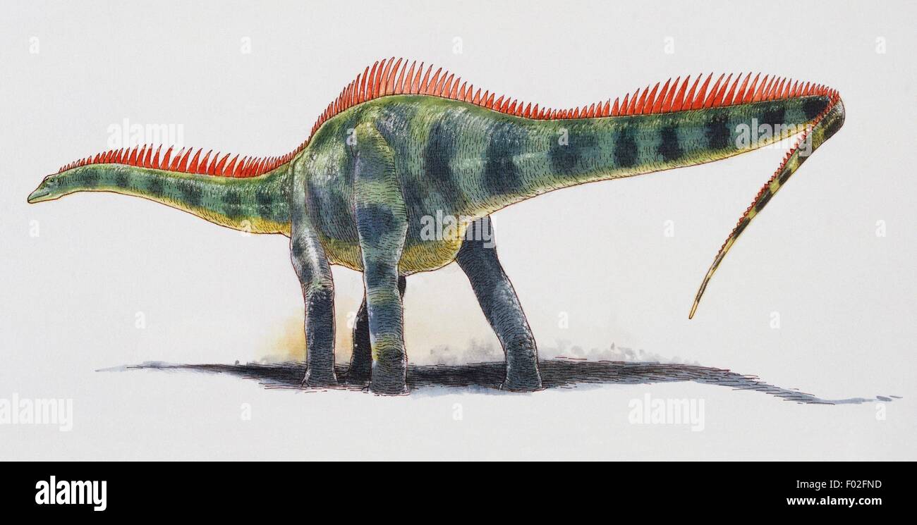 Barapasaurus tagorei, Vulcanodontidae, Early Jurassic. Artwork by James Robins. Stock Photo