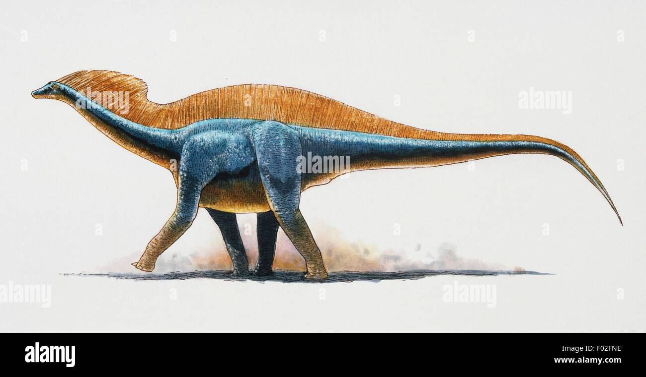 Amargasaurus cazaui, Dicraeosauridae, Early Cretaceous. Artwork by James Robins. Stock Photo