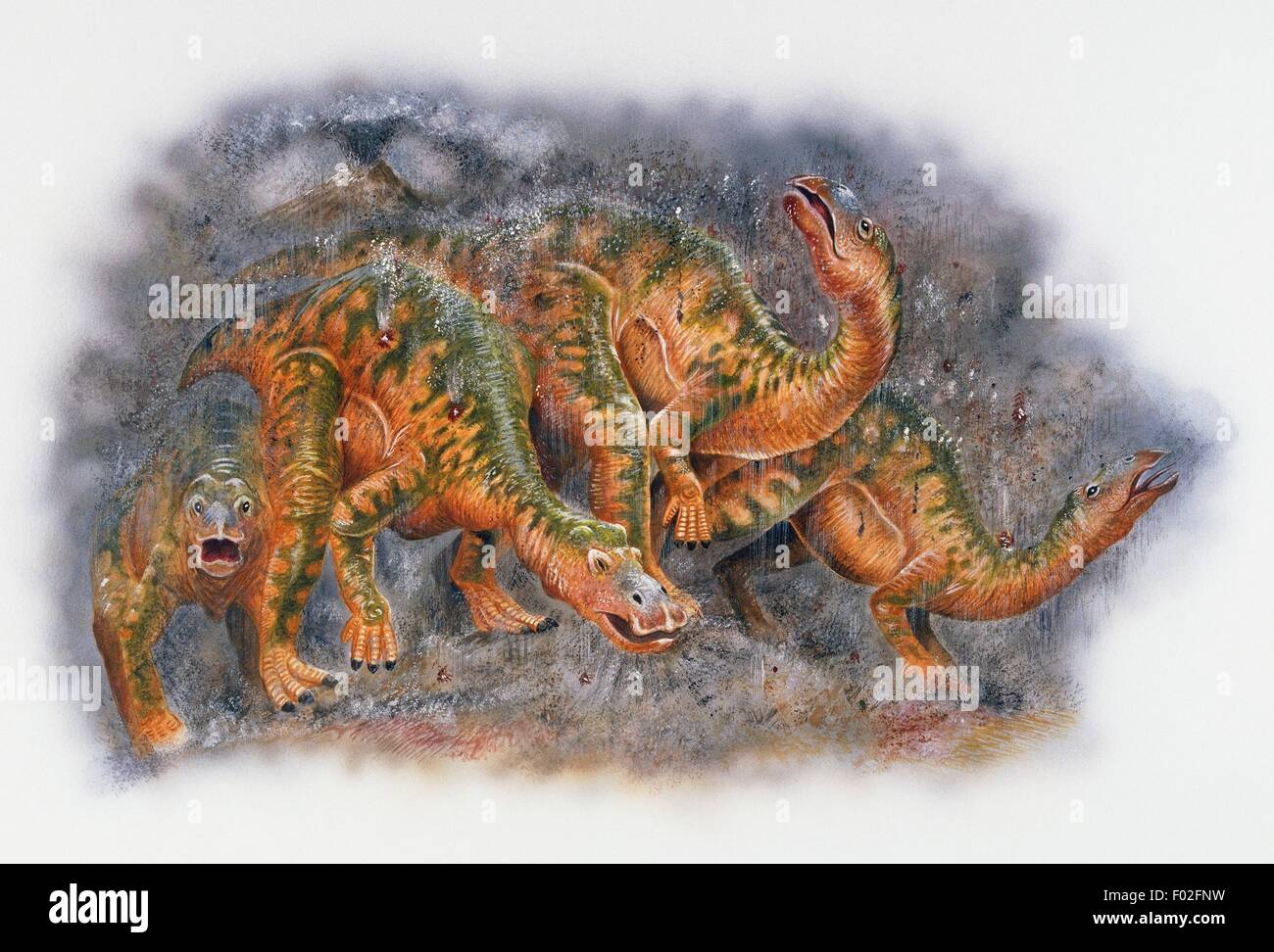A group of Hadrosaurus foulkii, Hadrosauridae, under a rain of volcanic ash, Late Cretaceous. Artwork by Steve Roberts. Stock Photo