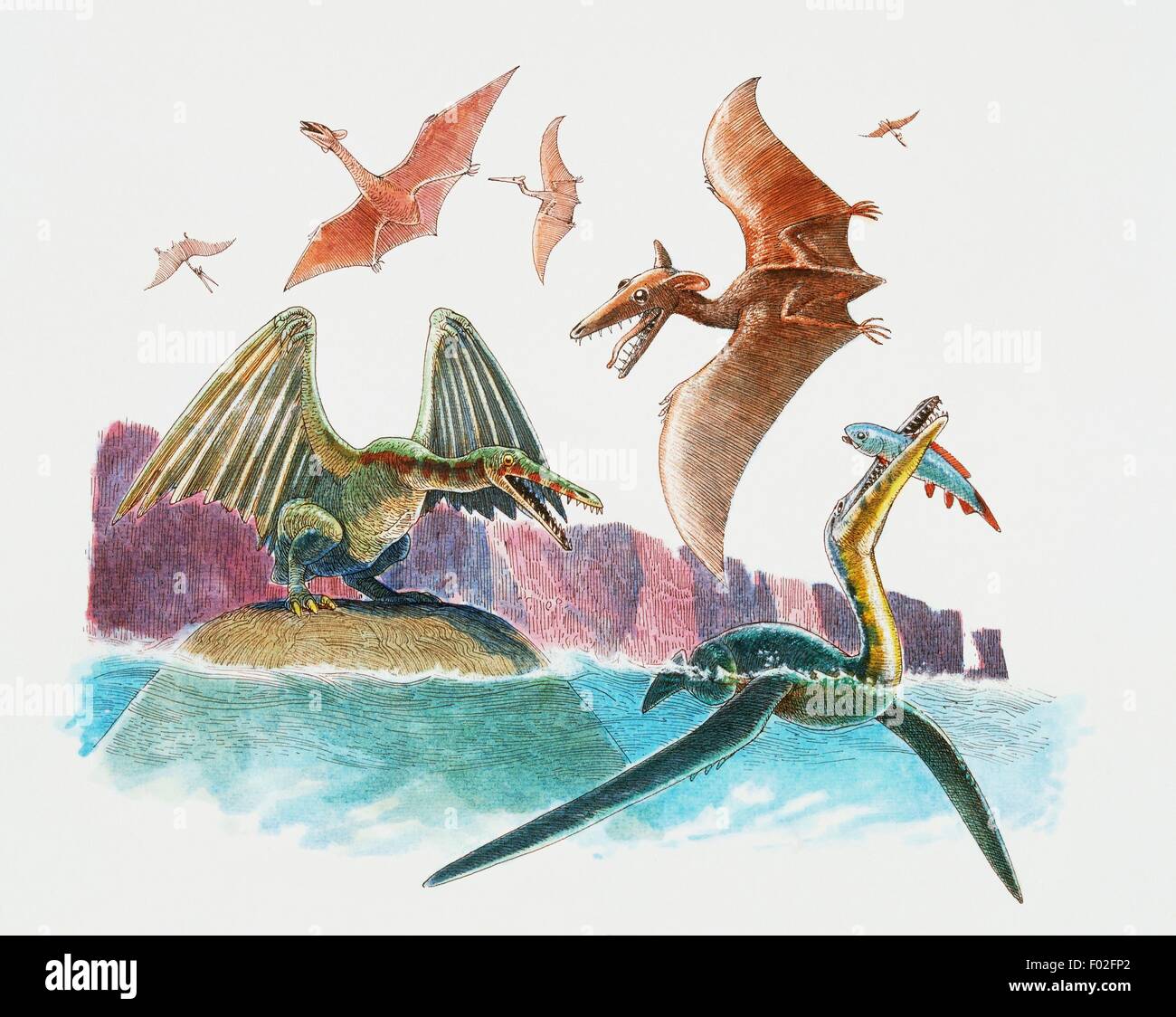 Pterosaurus in flight and on the rockTriassic-Cretaceous. Artwork by James Robins. Stock Photo