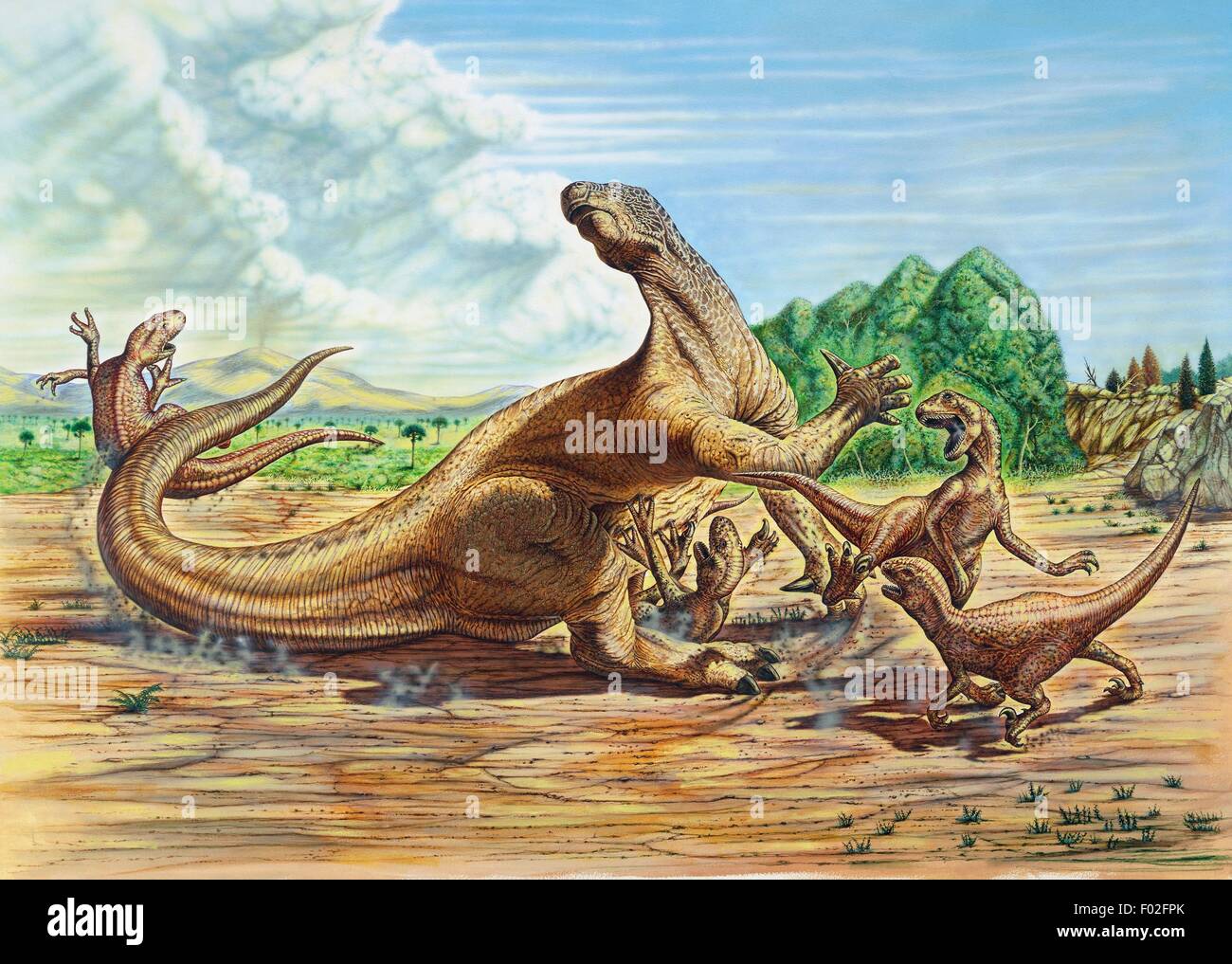 Iguanodon sp, Iguanodontidae, attacked by small carnivorous dinosaurs, Early Cretaceous. Artwork by Neil Lloyd. Stock Photo