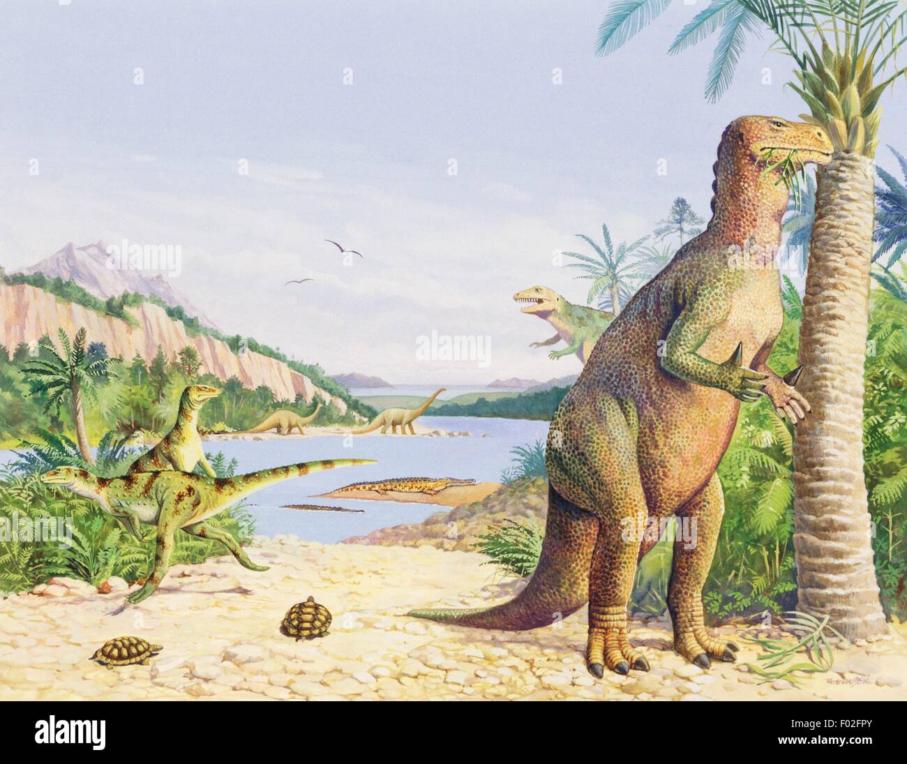 Iguanodon sp, Iguanodontidae, Early Cretaceous. Illustration. Stock Photo