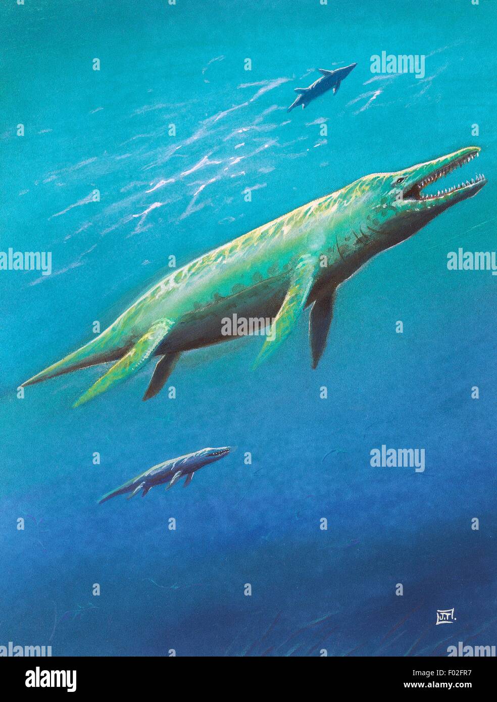 kronosaurus vs tylosaurus