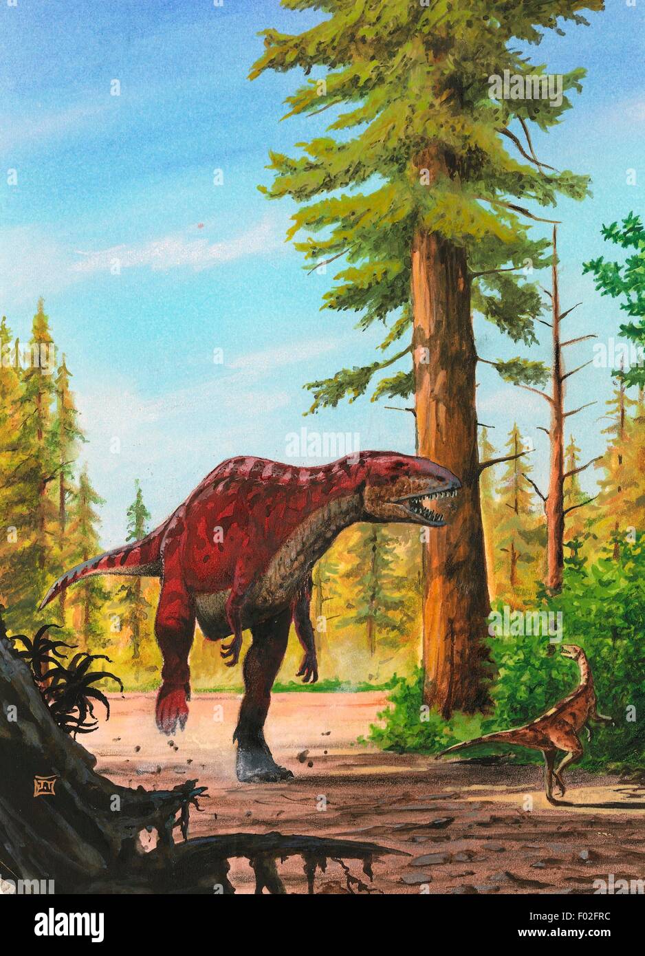 Acrocanthosaurus atokensis, Carcharodontosauridae, Cretacico. Artwork by J Dang. Stock Photo