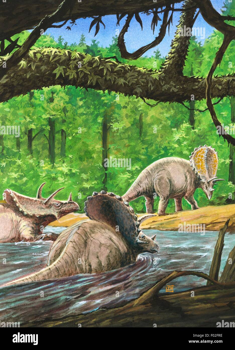 Pentaceratops sternbergii, Ceratopsidae, Late Cretaceous. Artwork by J Dang. Stock Photo