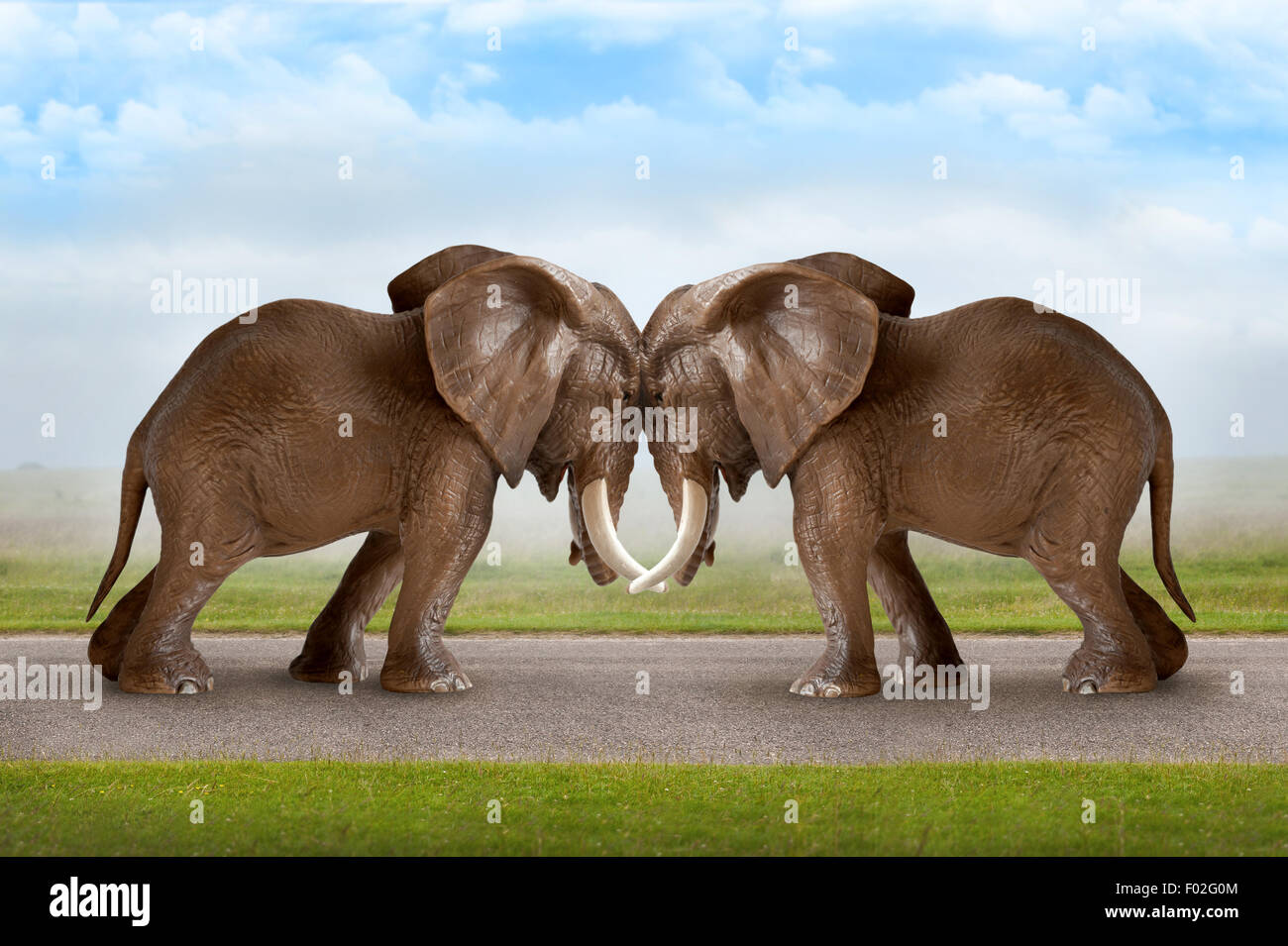 test of strength concept elephants pushing against each other Stock Photo