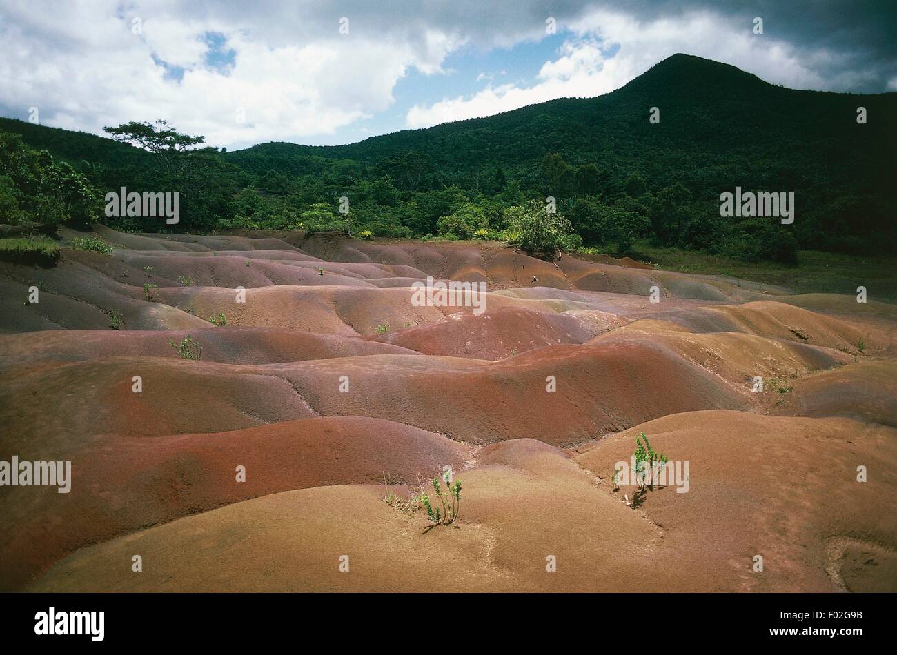 Seven Coloured Earths, differently coloured sand dunes, Chamarel, Mauritius. Stock Photo