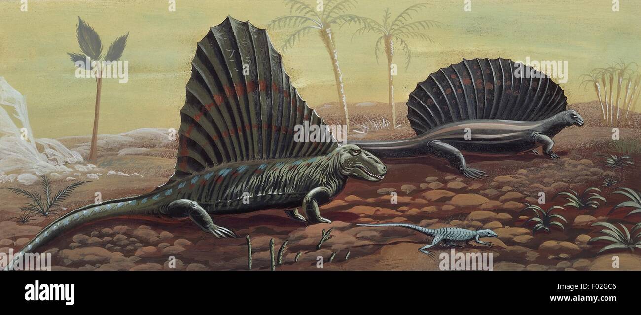 Prehistoric reptiles, illustration Stock Photo - Alamy
