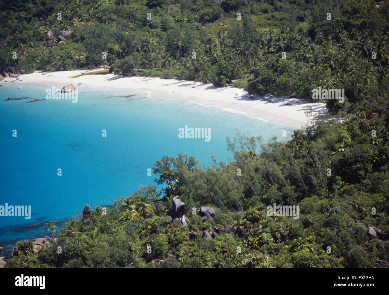Beach and subtropical vegetation, Praslin Island, Seychelles. Stock Photo