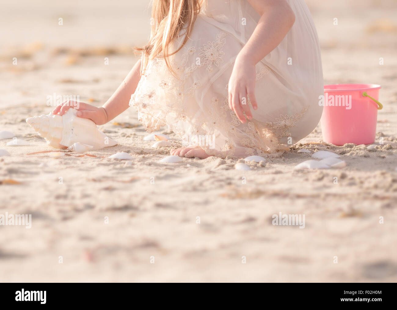 Girl collecting seashells on the beach, California, USA Stock Photo Alamy