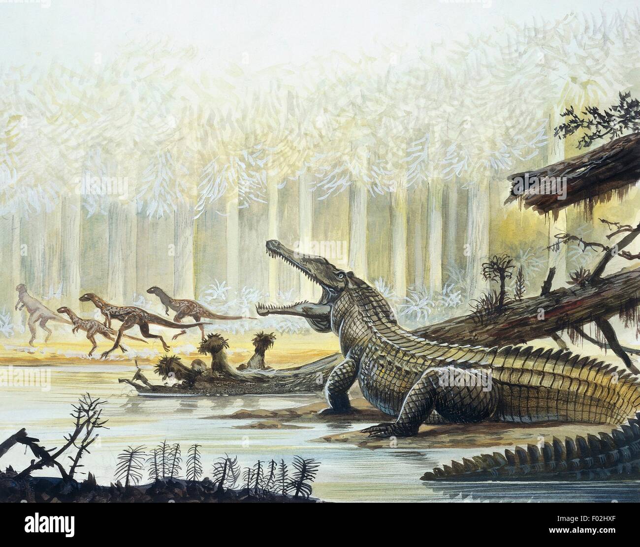 Reconstruction of an archosaur (Rutiodon sp), and Fabrosaurus in the background, Triassic Period. Color illustration. Stock Photo