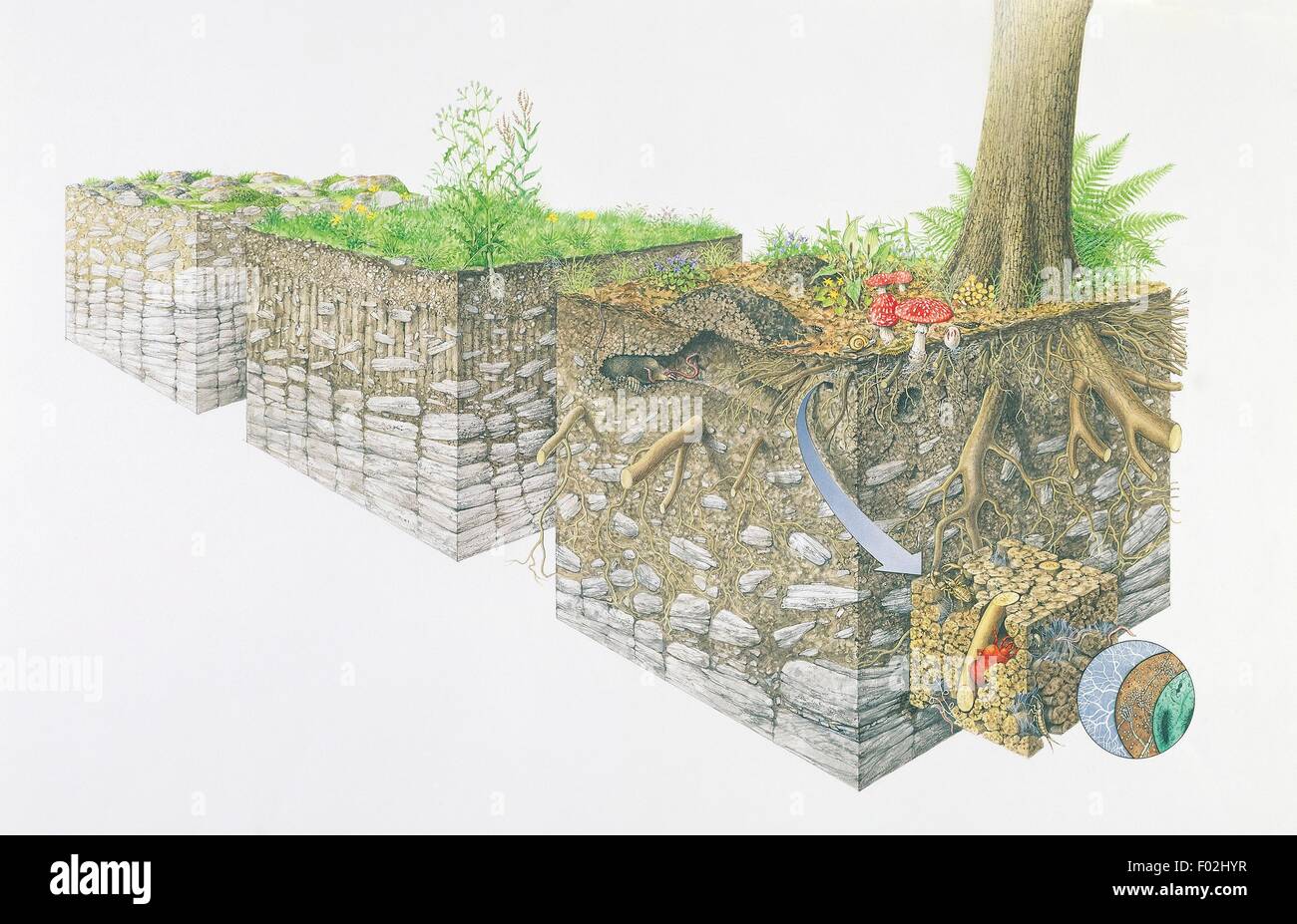 Cross-section of terrain types, drawing. Stock Photo