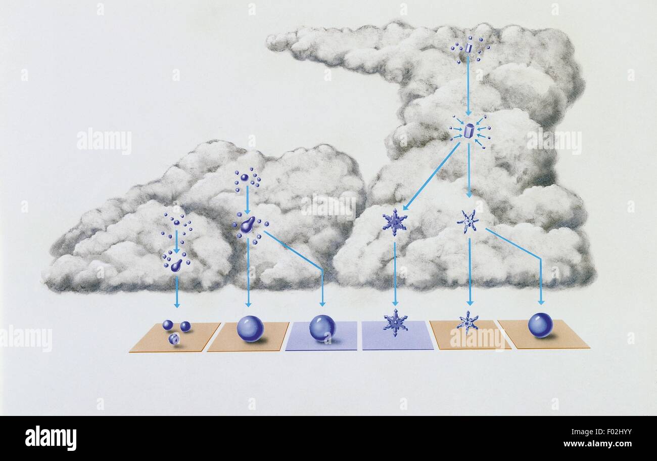 Meteorology - The origin of precipitation in the clouds: the formation of droplets or ice crystals (respectively, raindrops and snowflakes), depending on different temperatures. Drawing Stock Photo