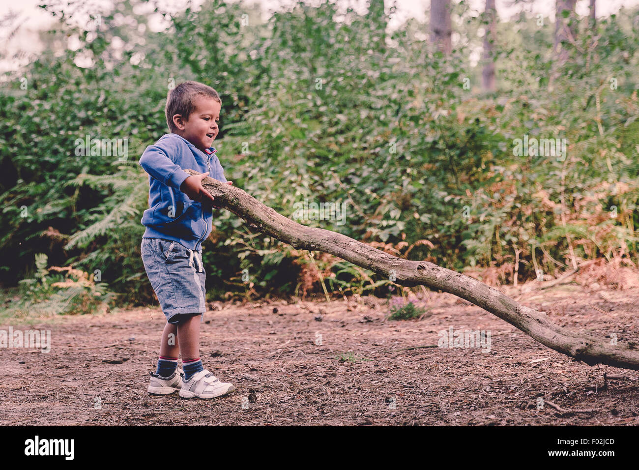 Boy in the woods lifting a heavy log Stock Photo