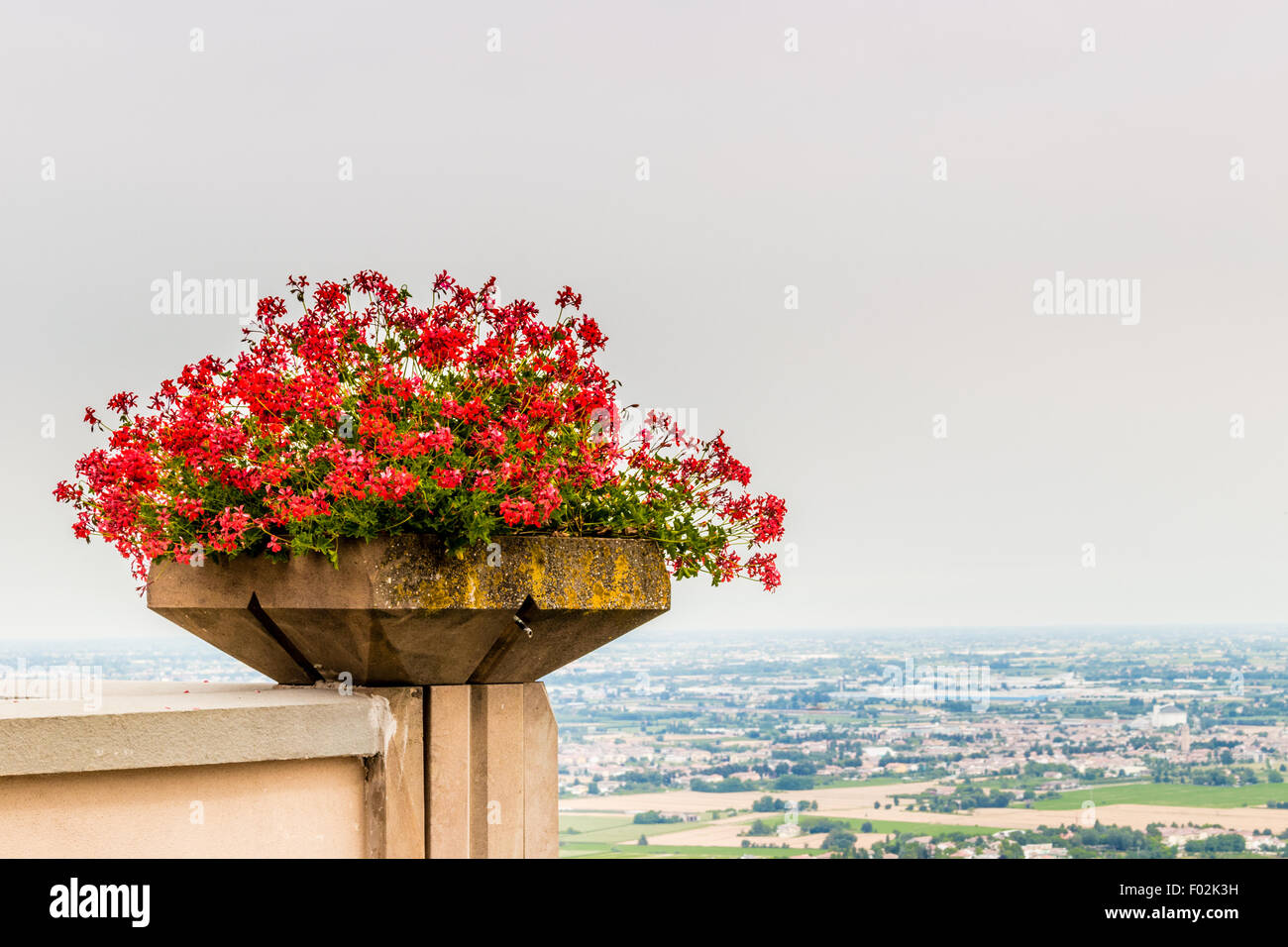 nature and memories - pot of geraniums and view from the terrace of the ...