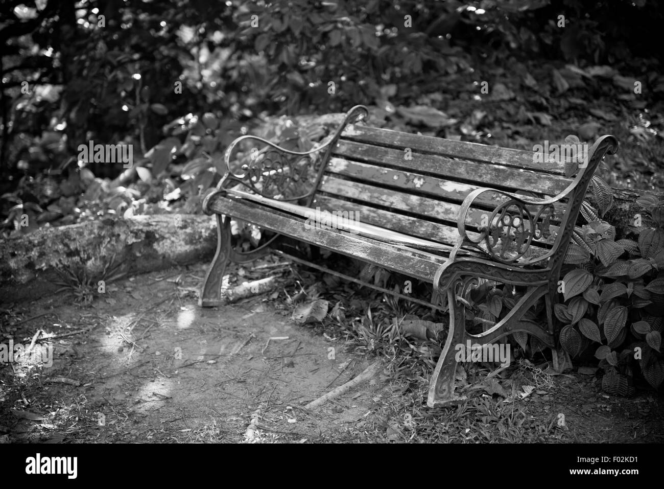 Old wooden bench in a forest. Horizontal bw shot Stock Photo