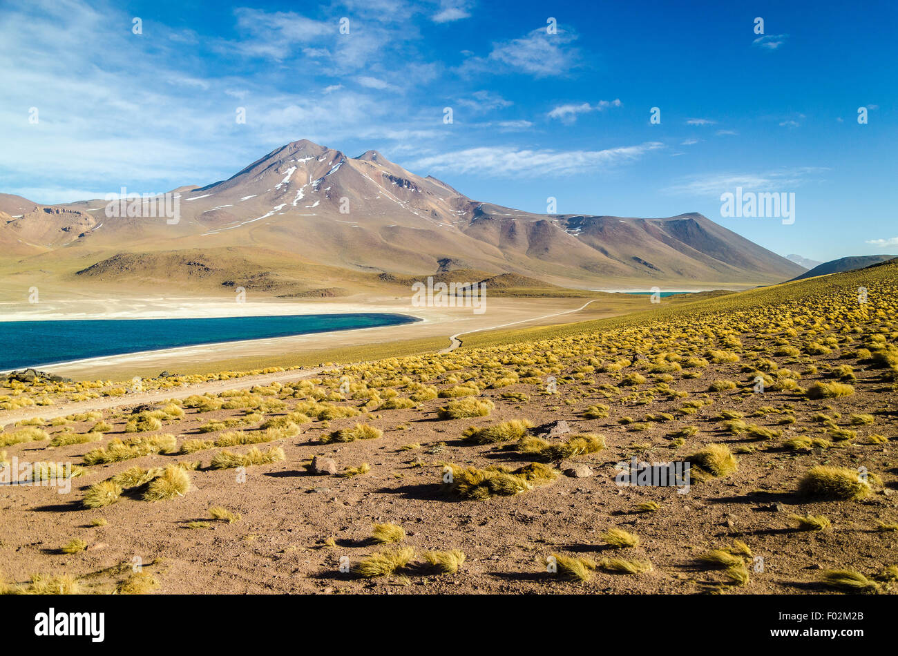 Altiplano lagoon, volcano and Andean peaks, Chile Stock Photo