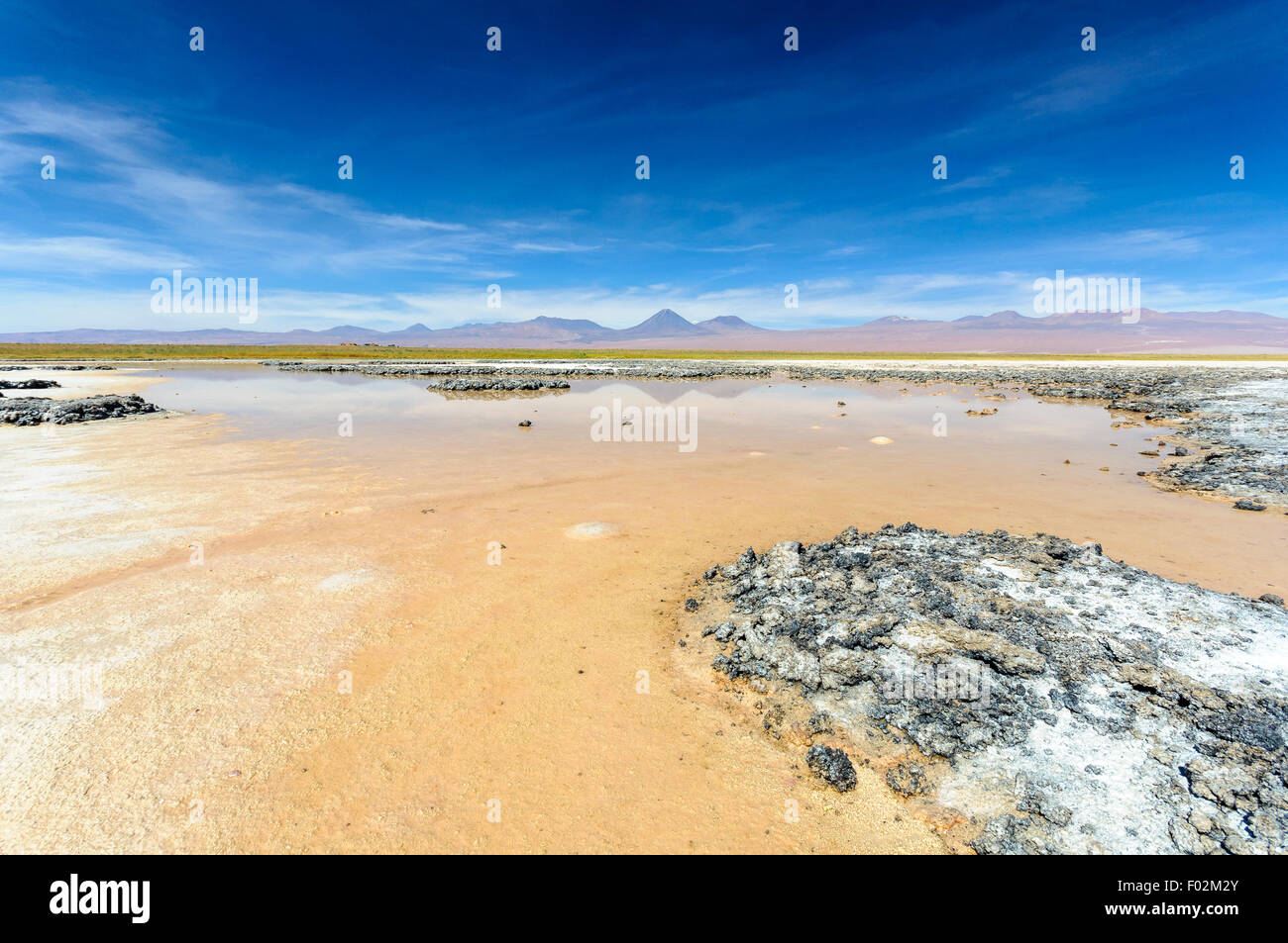 Cejar lagoon with Licancabur volcano in the background, Chile Stock Photo