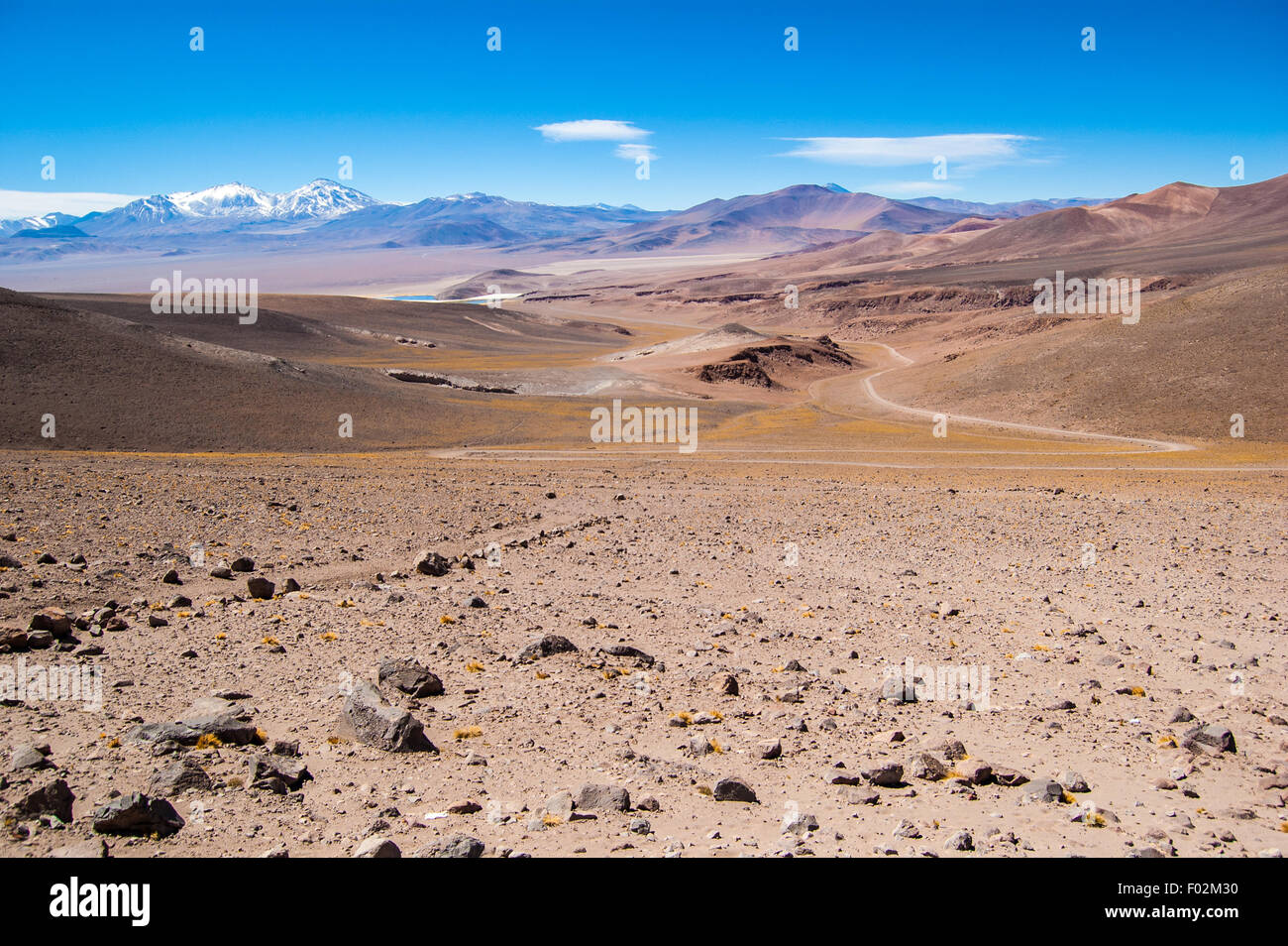 Altiplano near Copiapo, Chile Stock Photo