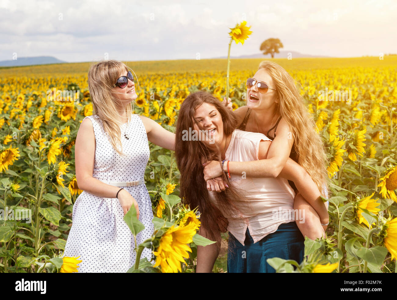 Group of friends having fun outdoors in a field Stock Photo - Alamy