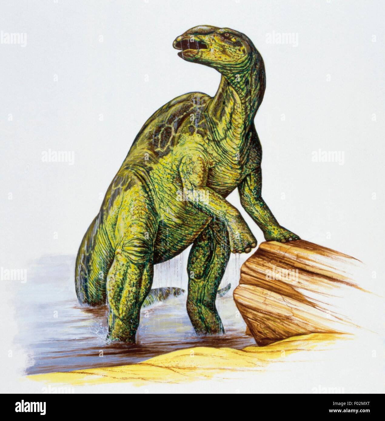 Anatotitan copei, Hadrosauridae, Late Cretaceous. Artwork by Neil Lloyd. Stock Photo