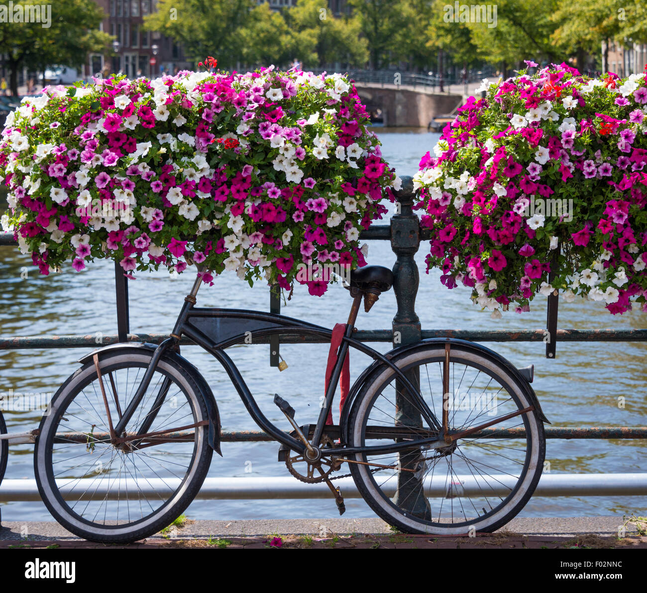 traditional dutch bike