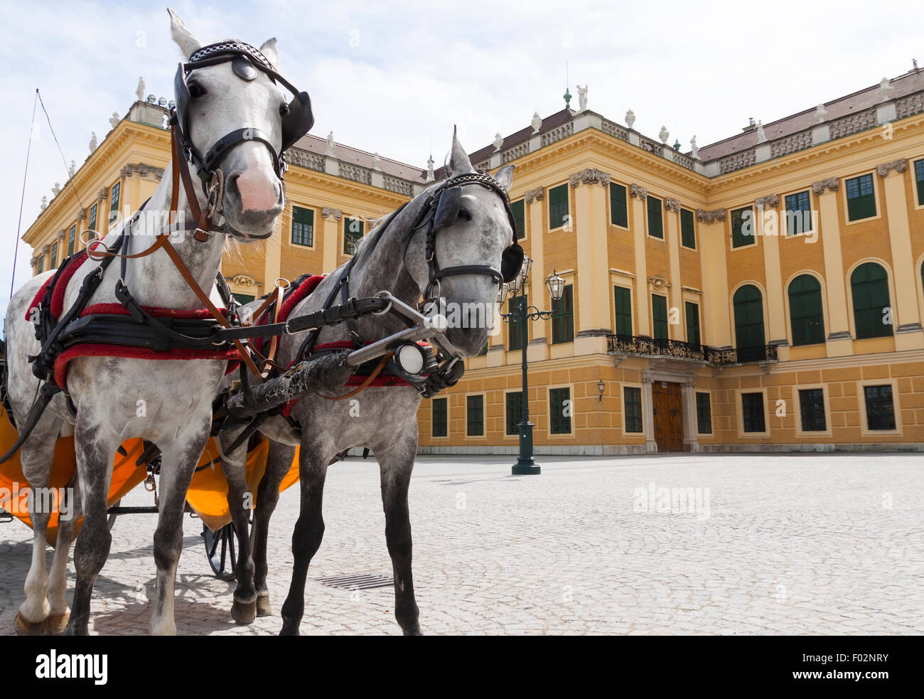 Carriage horse wait hi-res stock photography and images - Alamy