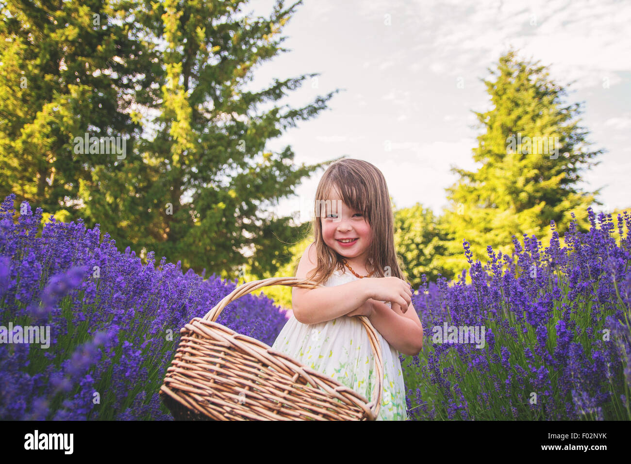 Girl holding basket in lavender field Stock Photo