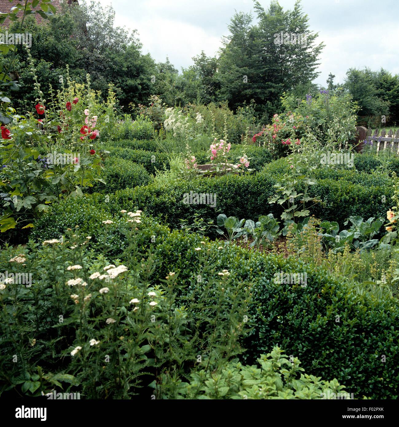 Bauerngarten; Stock Photo