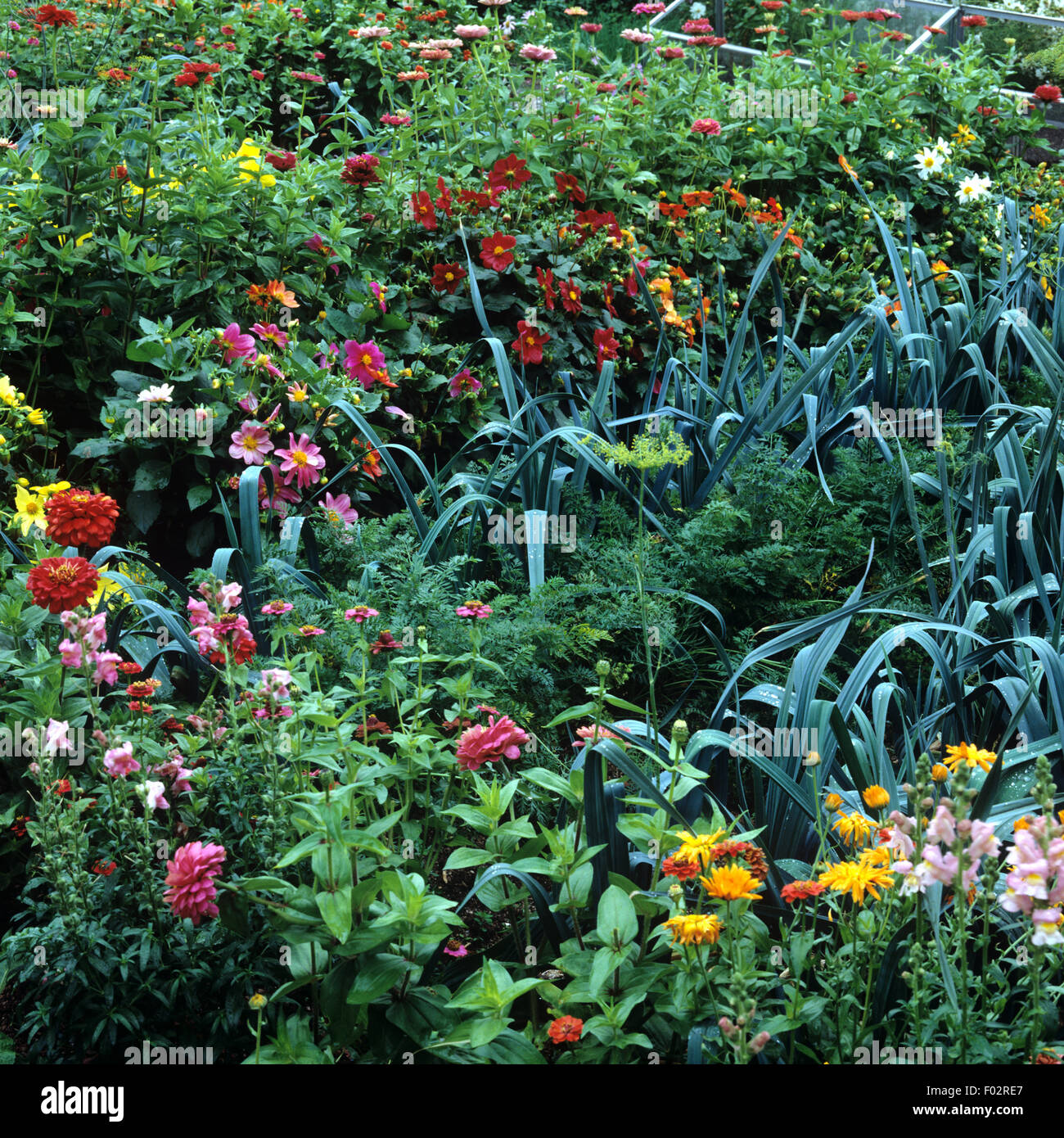 Bauerngarten; Stock Photo