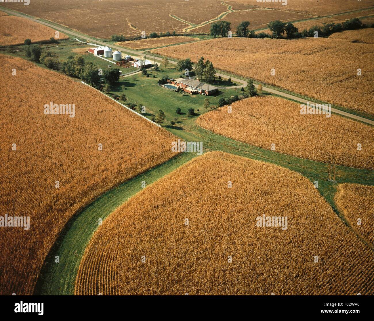 Aerial view of wheat fields and farm near Peoria - Illinois, United States of America Stock Photo