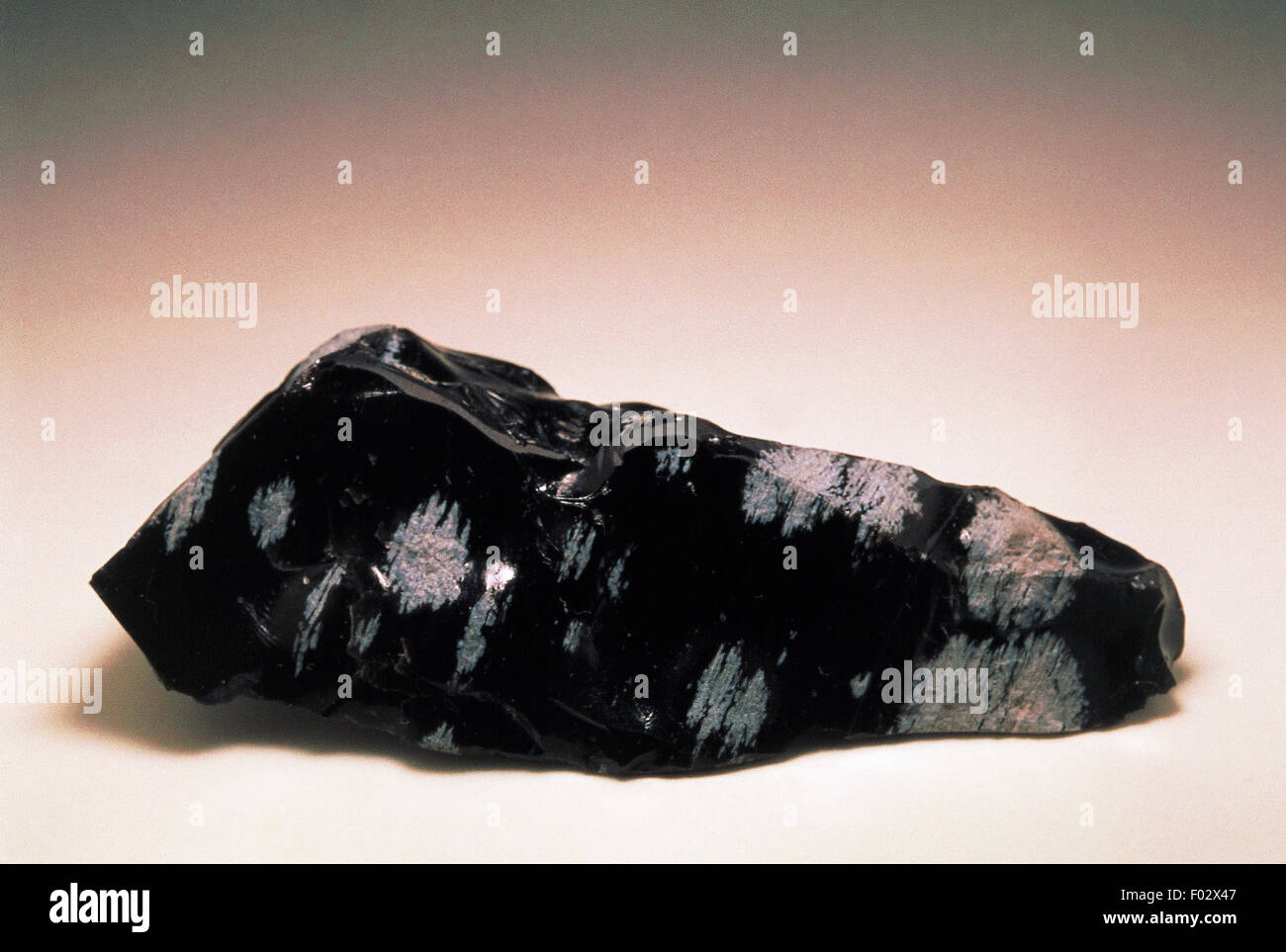 Snowflake Obsidian Igneous Rock Stock Photo Alamy