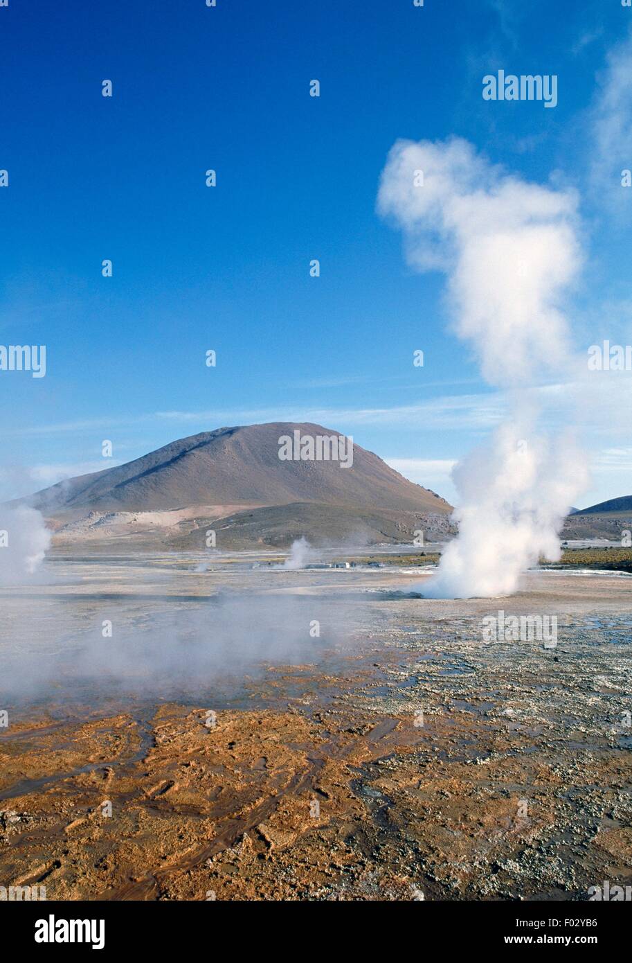 El Tatio geyser field, Antofagasta Region, Chile Stock Photo - Alamy