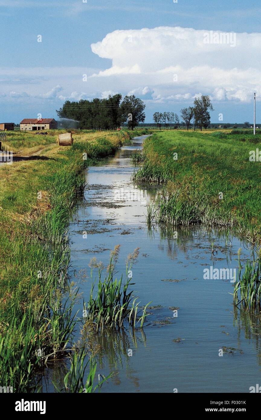 Irrigation canal near Novellara, Emilia-Romagna, Italy. Stock Photo